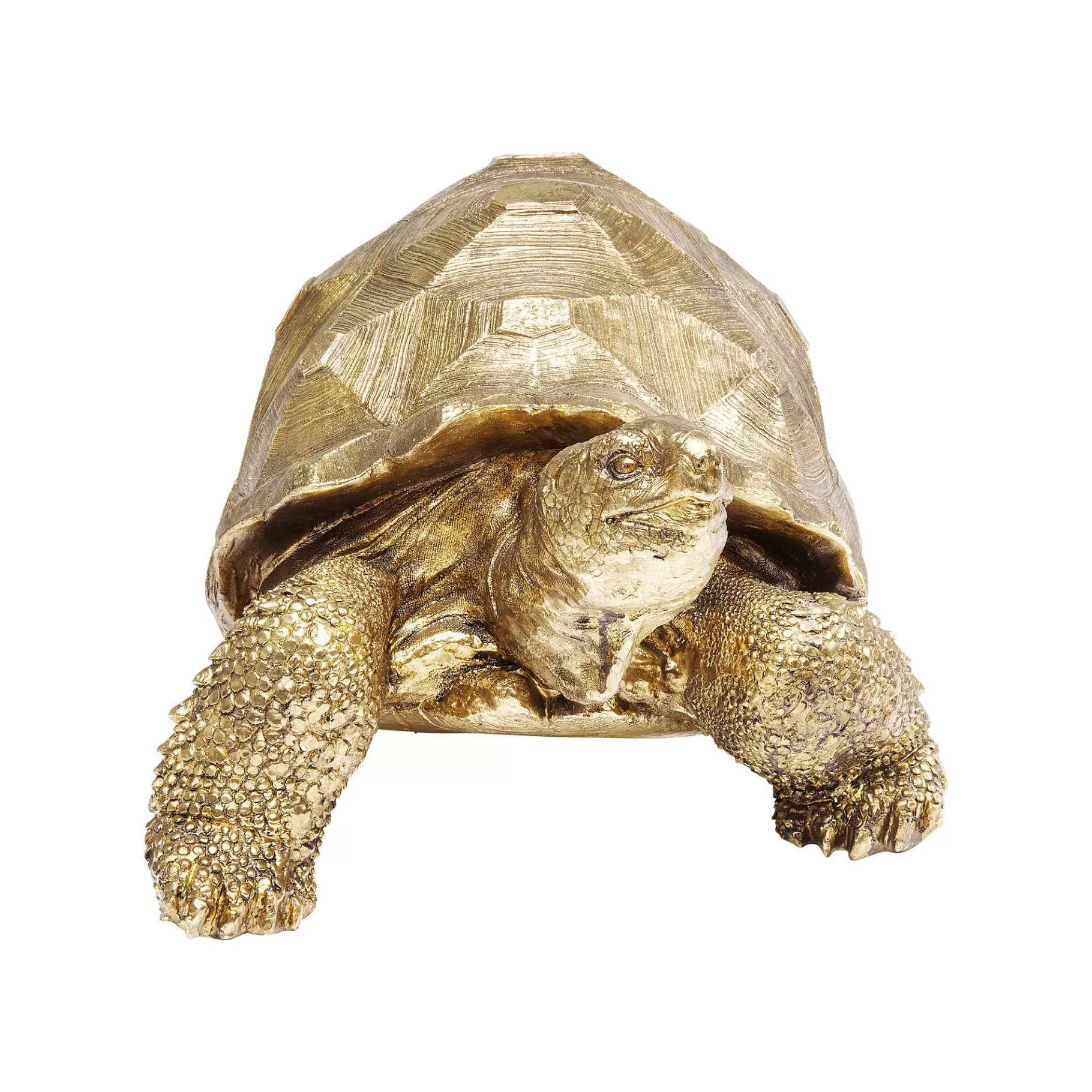 Clearance Déco Tortue Dorée 60cm Déco