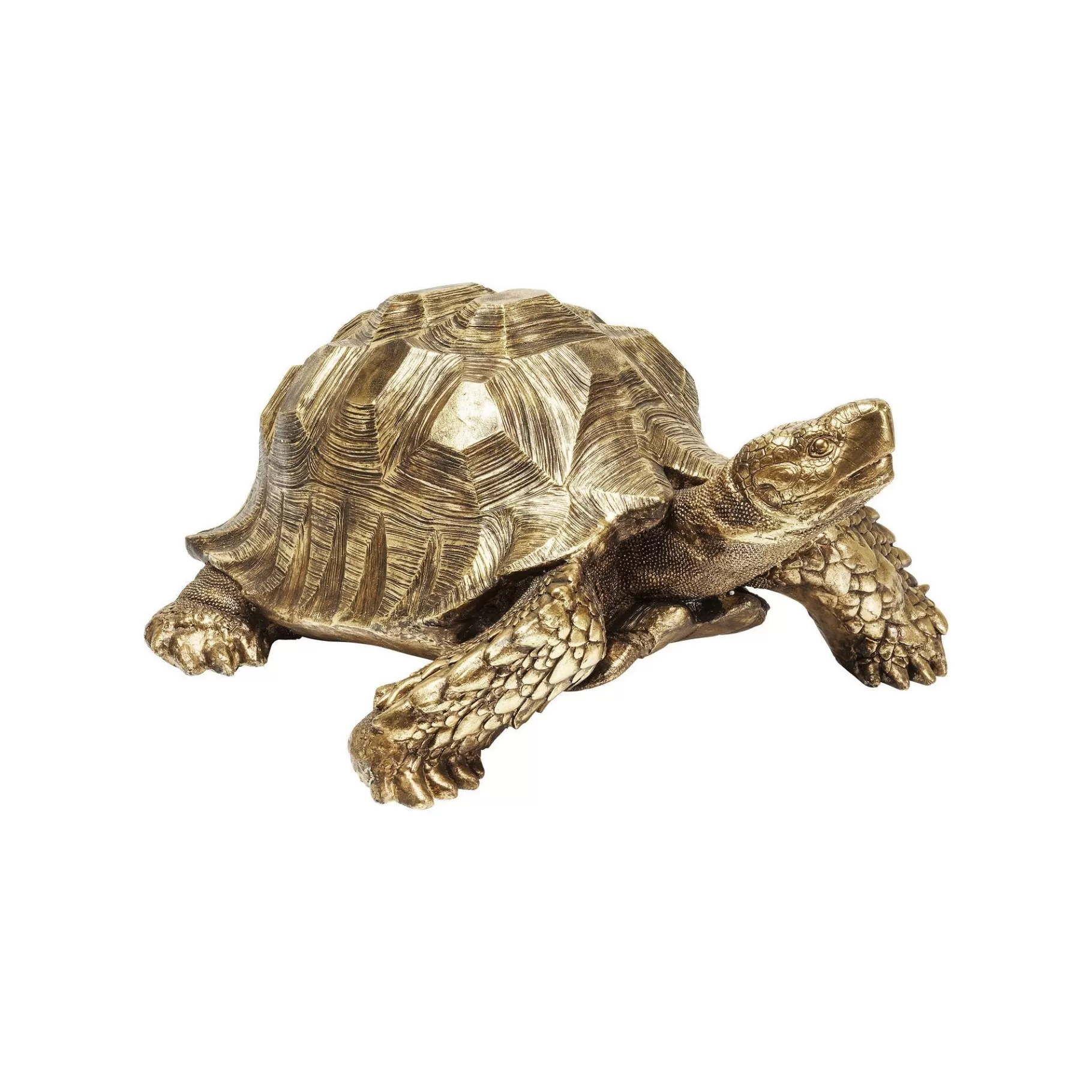 Fashion Déco Tortue Dorée XL Déco