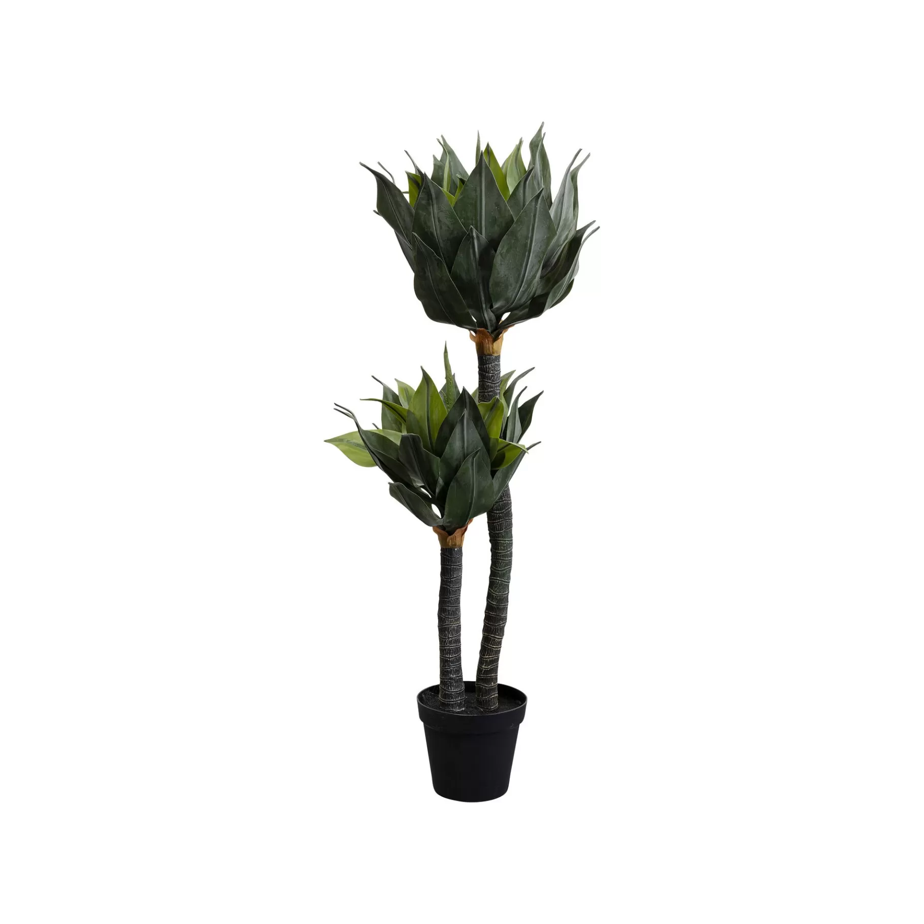 Discount Plante Décorative Agave 120cm Plante Décorative