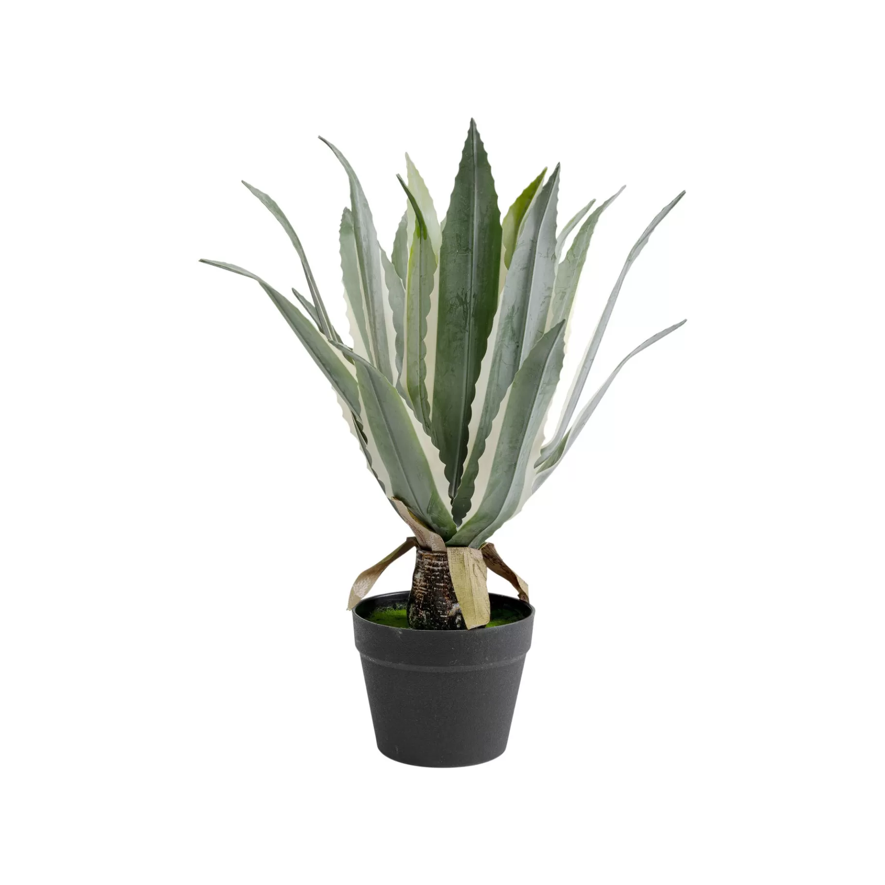 New Plante Décorative Agave 50cm Plante Décorative