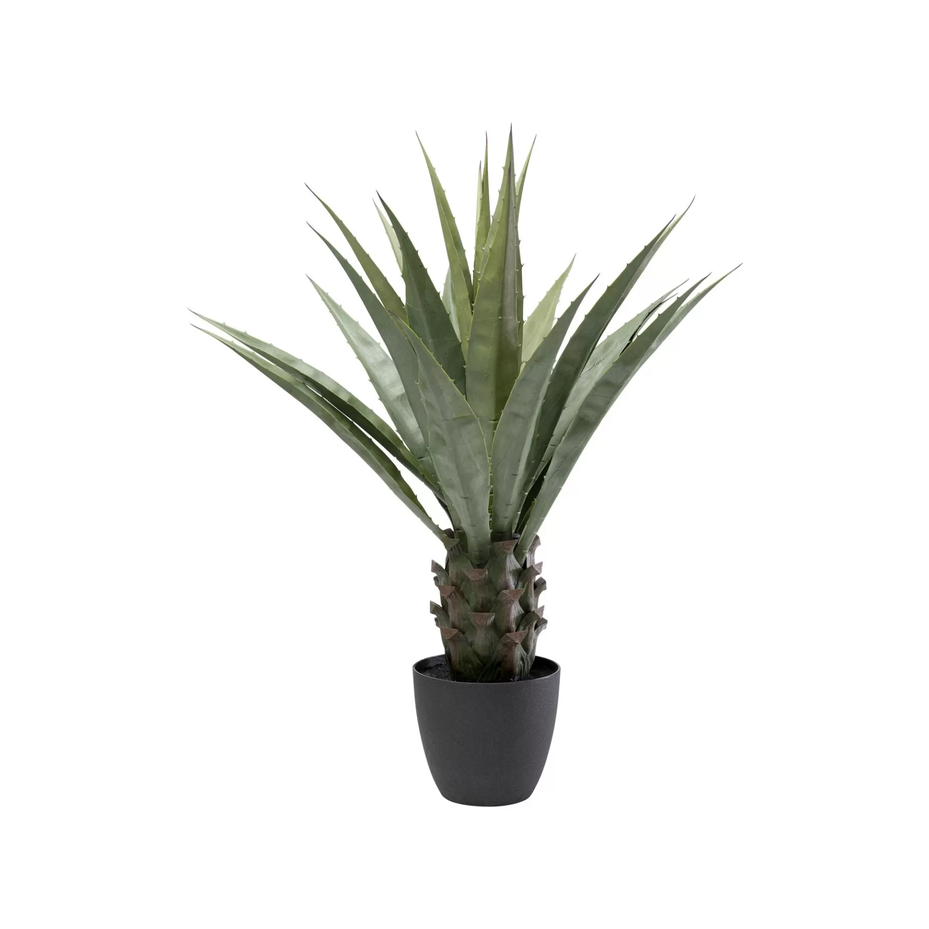 Hot Plante Décorative Agave 85cm Plante Décorative