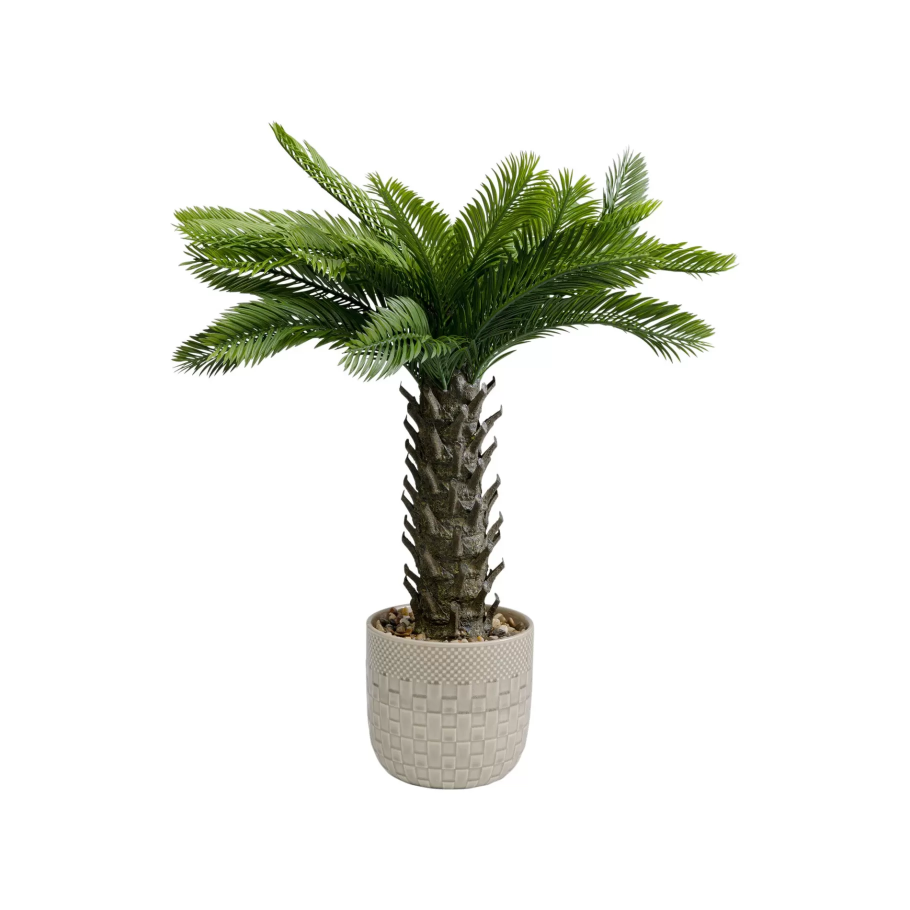 Fashion Plante Décorative Cycas 70cm Plante Décorative