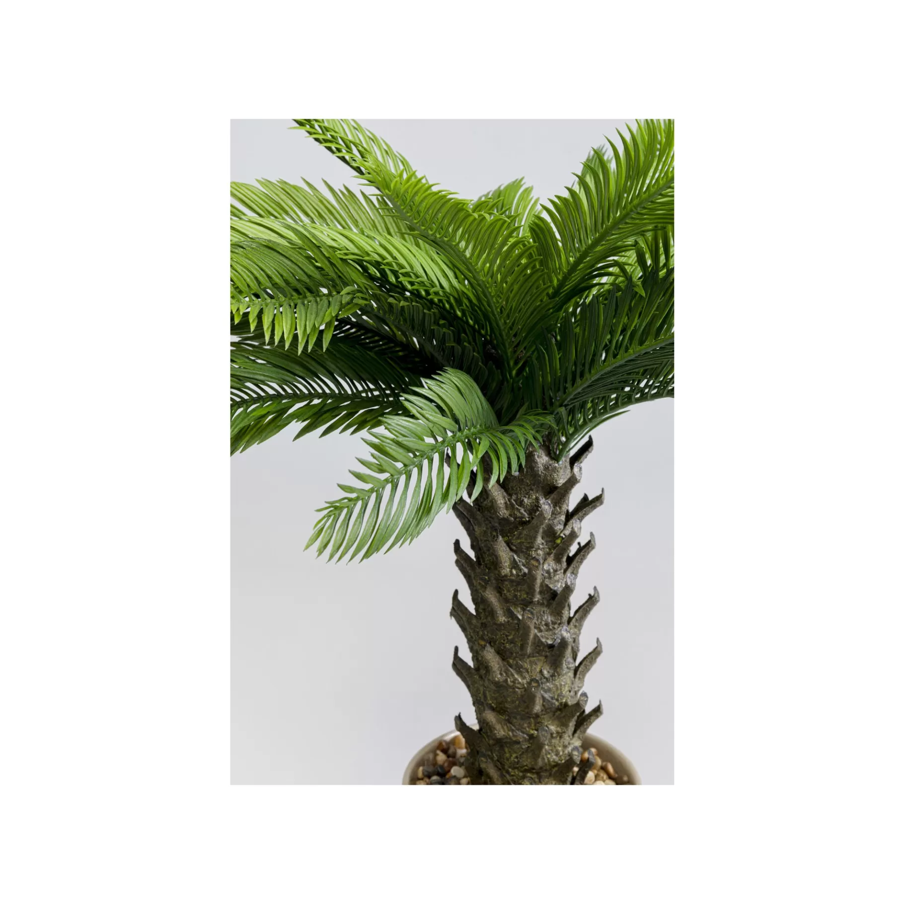 Fashion Plante Décorative Cycas 70cm Plante Décorative