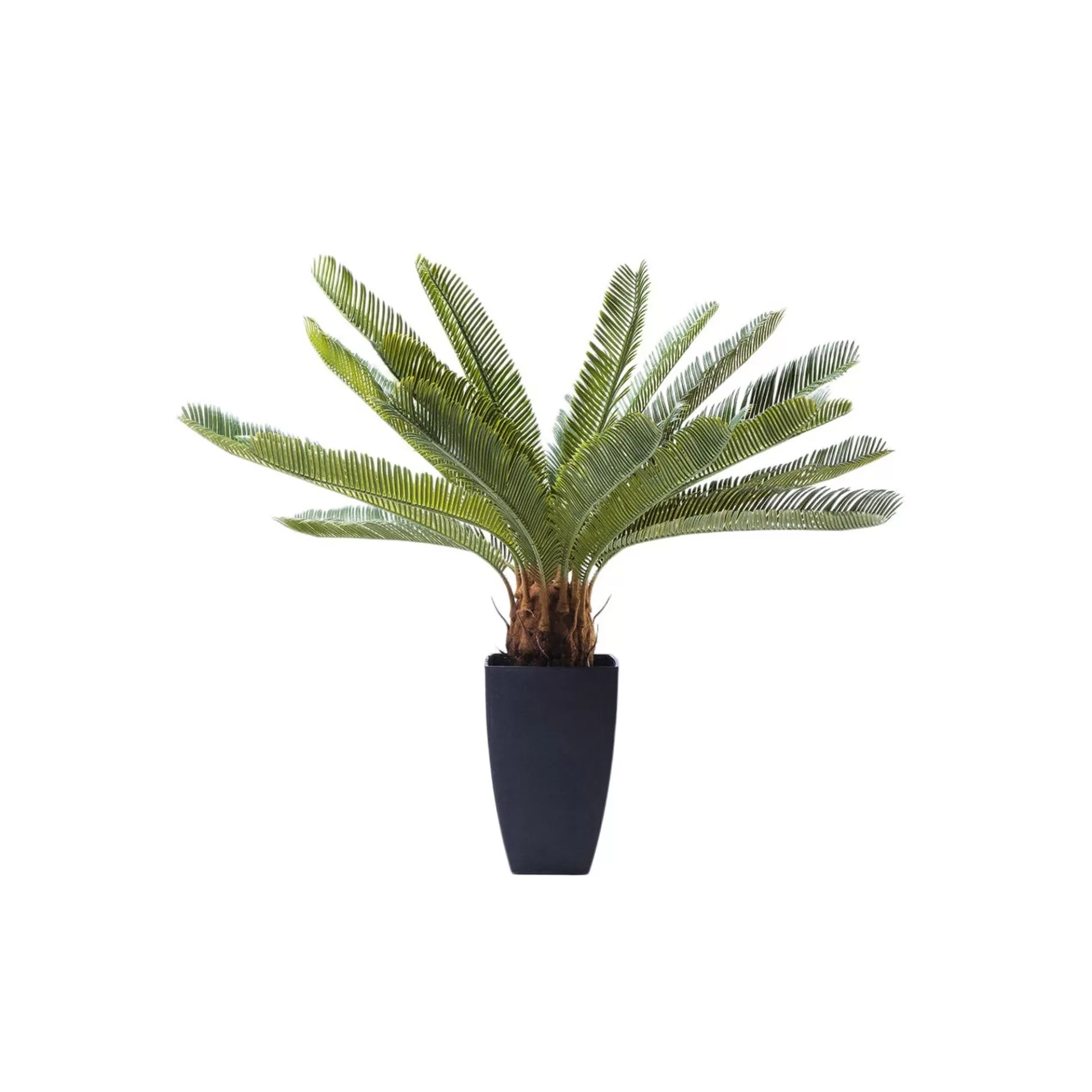 Cheap Plante Décorative Cycas 78cm Plante Décorative