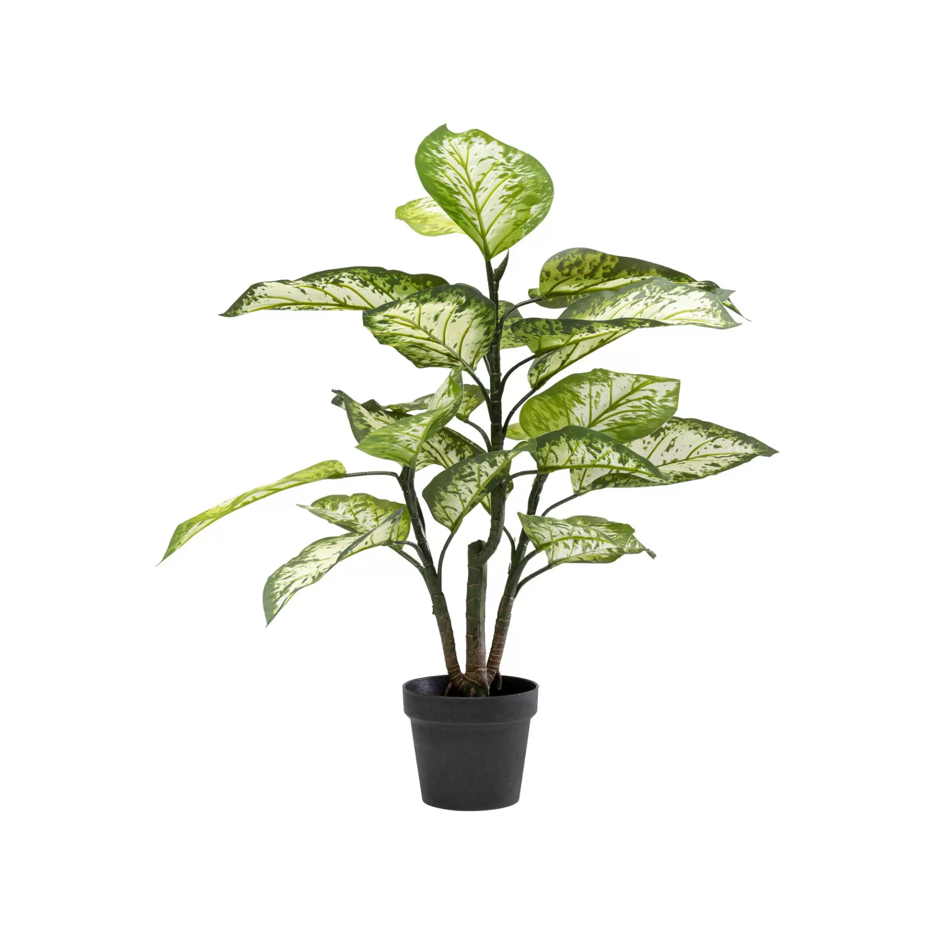 Hot Plante Décorative Dieffenbachia 100cm Plante Décorative