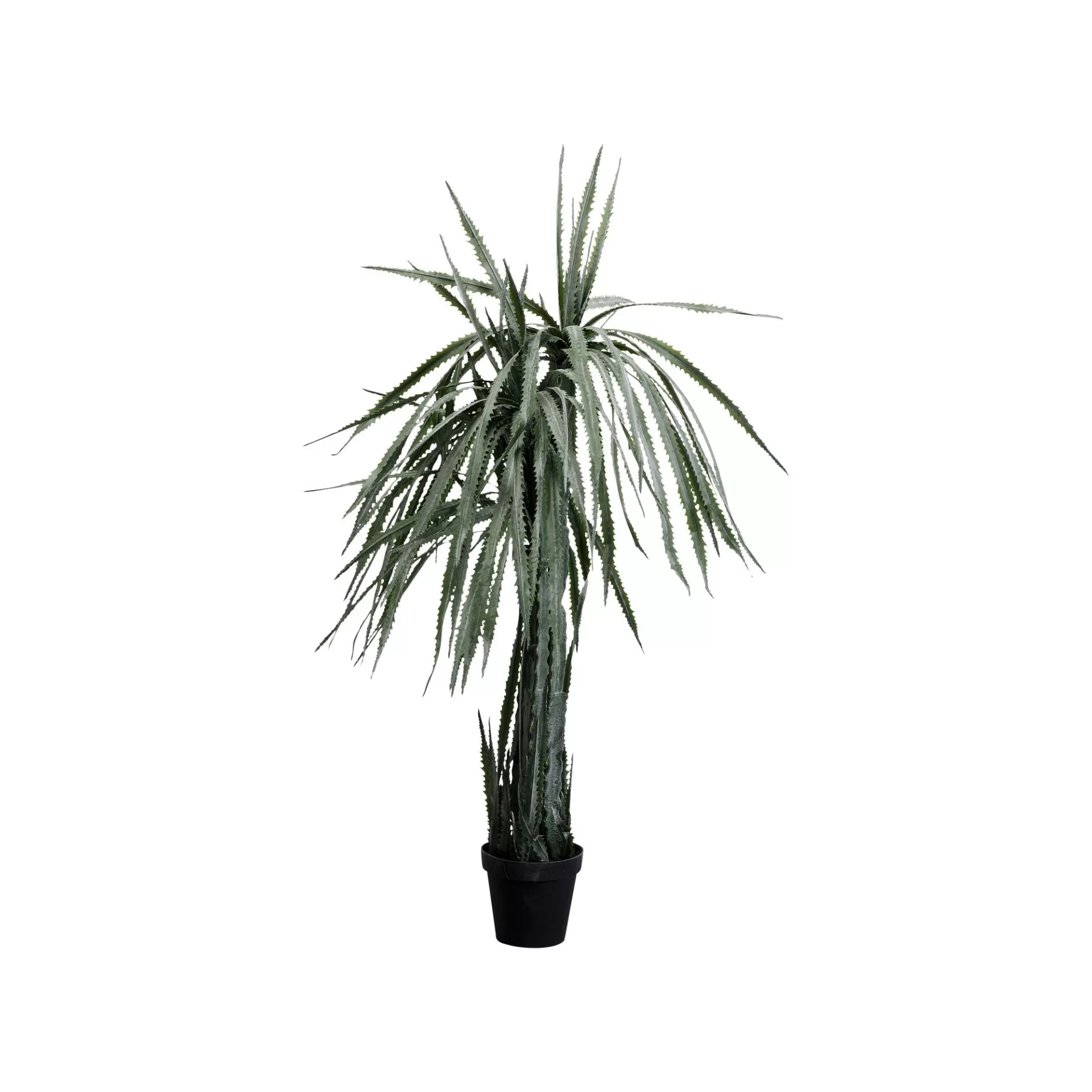 New Plante Décorative Dracaena 155cm Plante Décorative