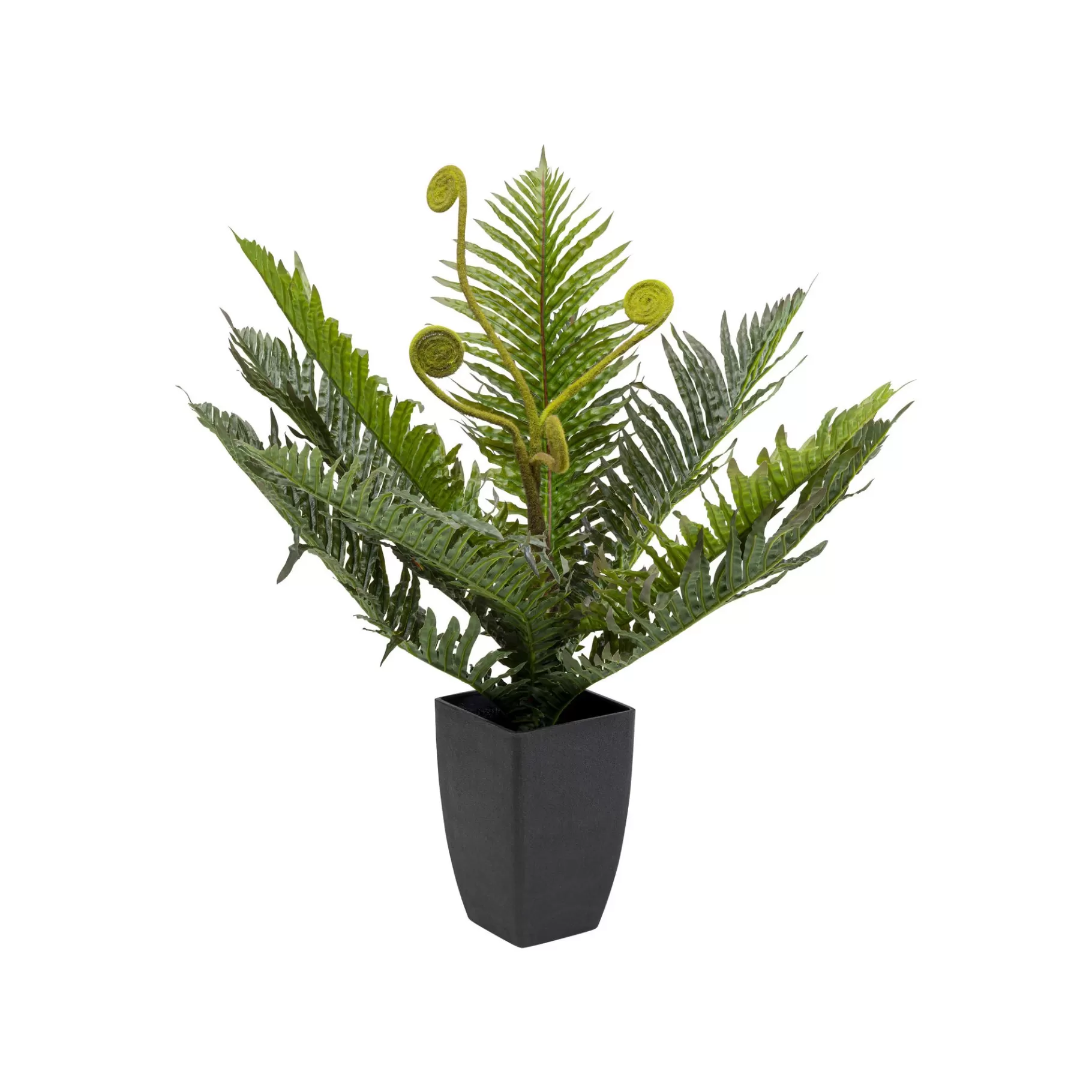 Online Plante Décorative Fougère 55cm Plante Décorative