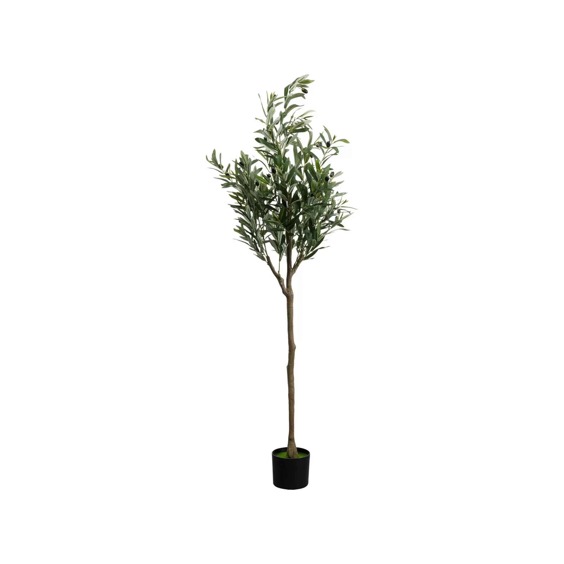 Best Sale Plante Décorative Olivier 150cm Plante Décorative