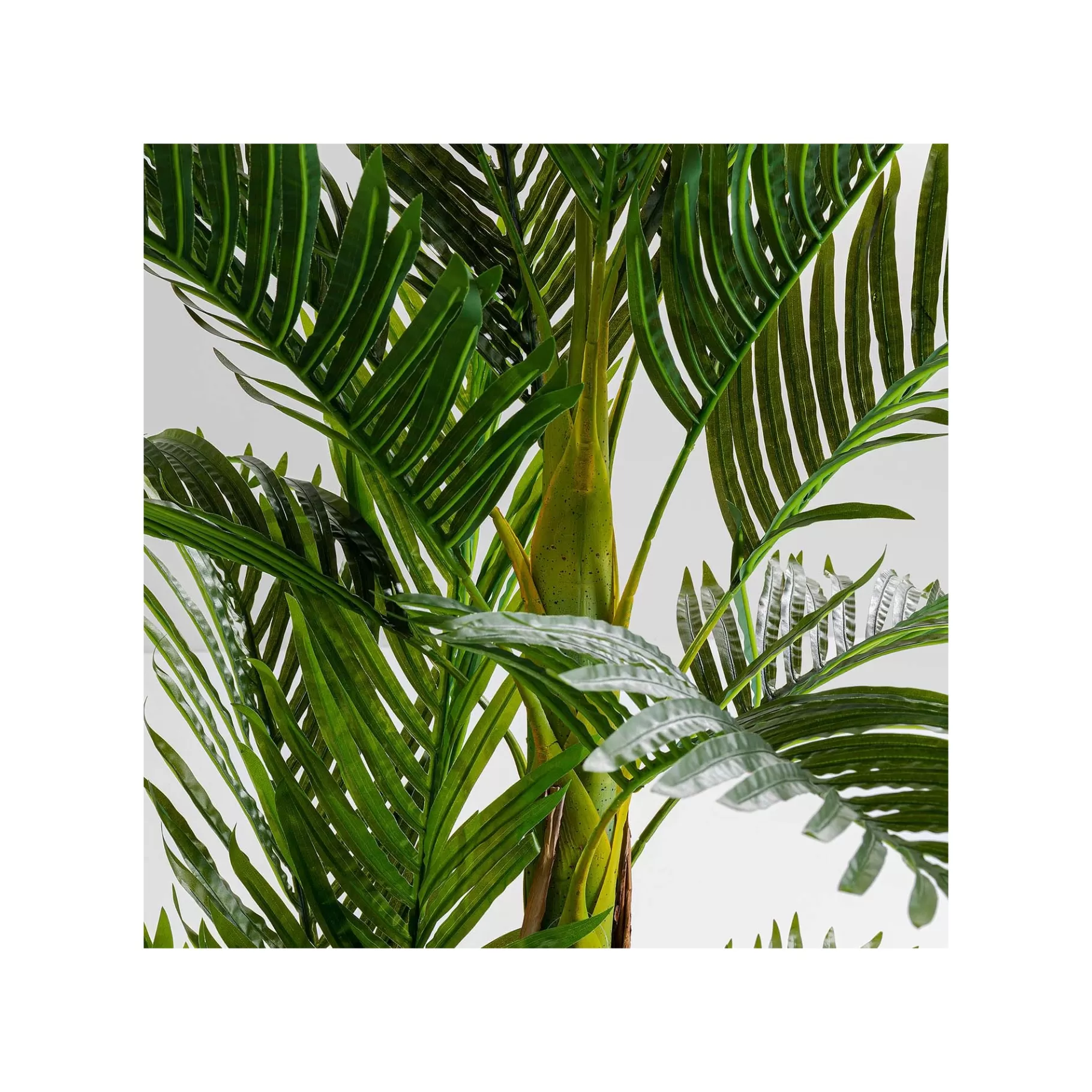 Flash Sale Plante Décorative Palmier 190cm Plante Décorative