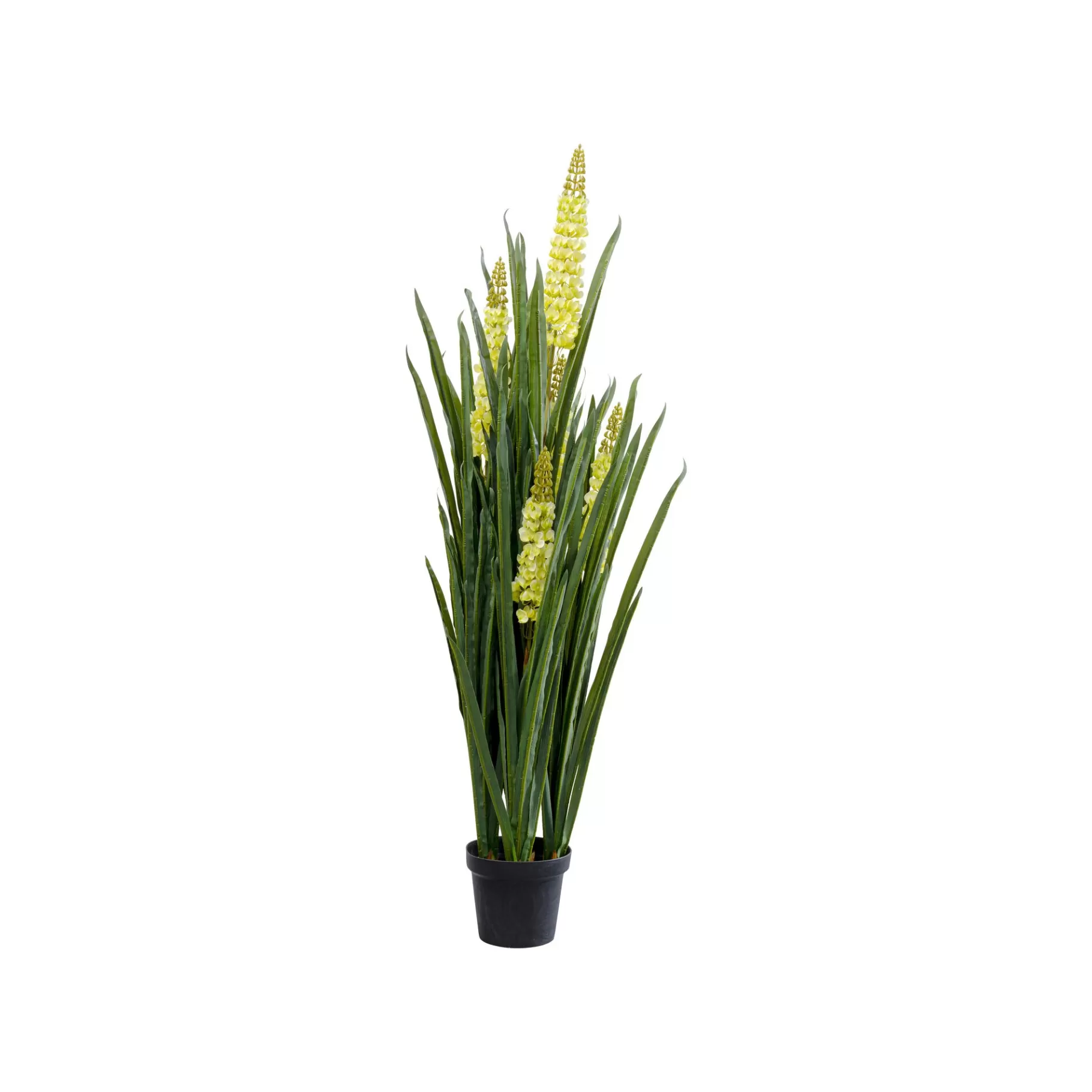 Store Plante Décorative Rhynchostylis 150cm Plante Décorative