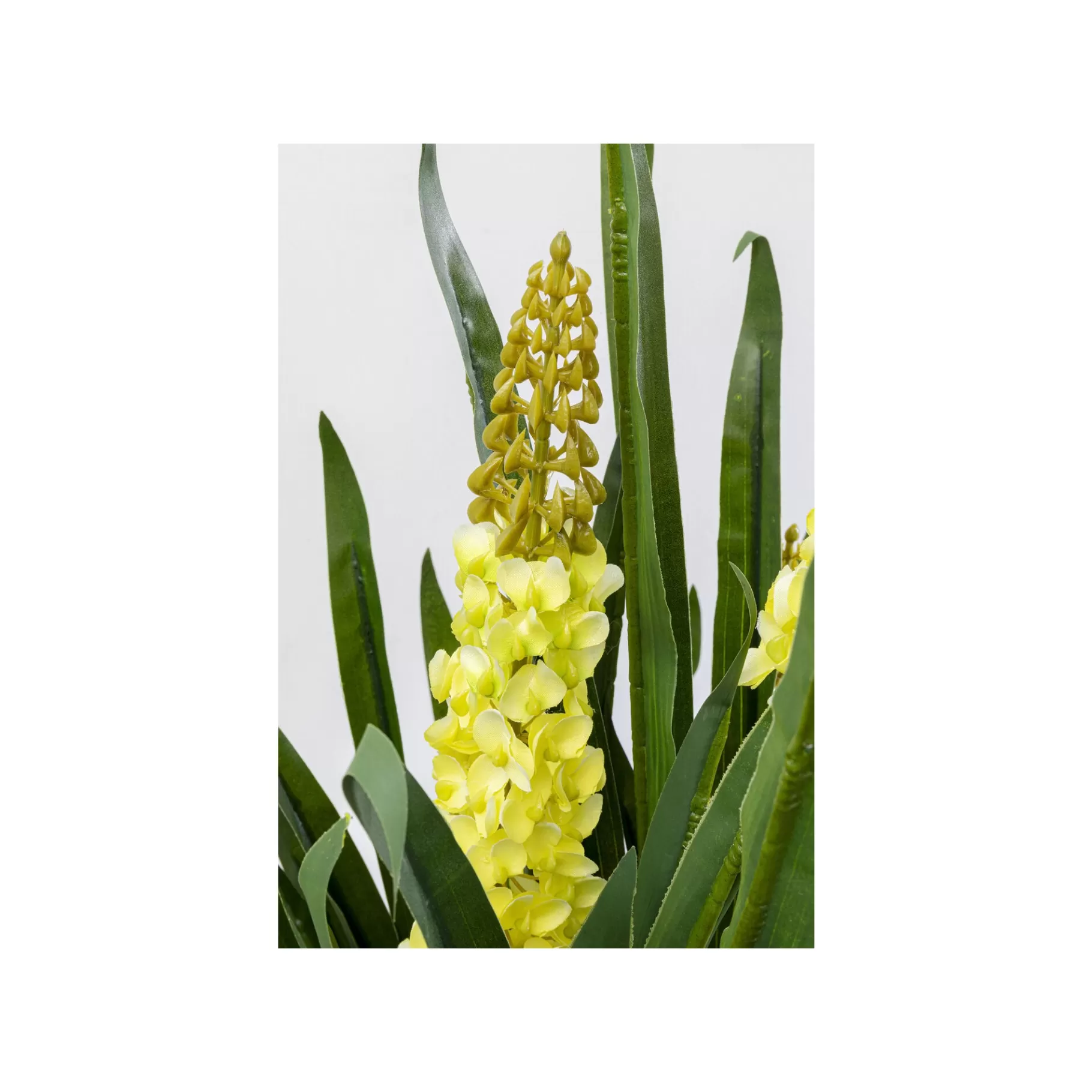 Store Plante Décorative Rhynchostylis 150cm Plante Décorative