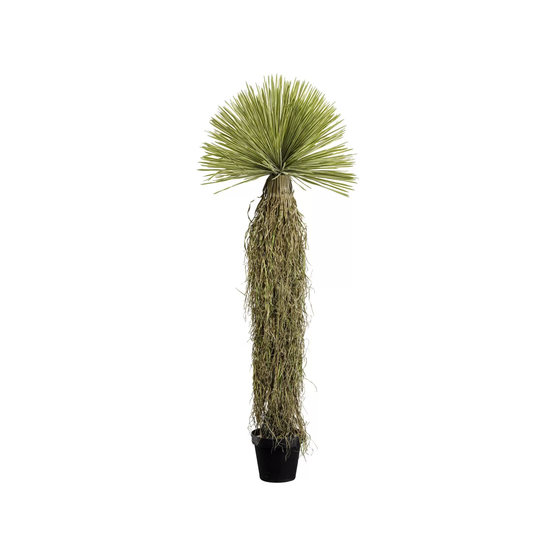 Clearance Plante Décorative Yucca 180cm Plante Décorative