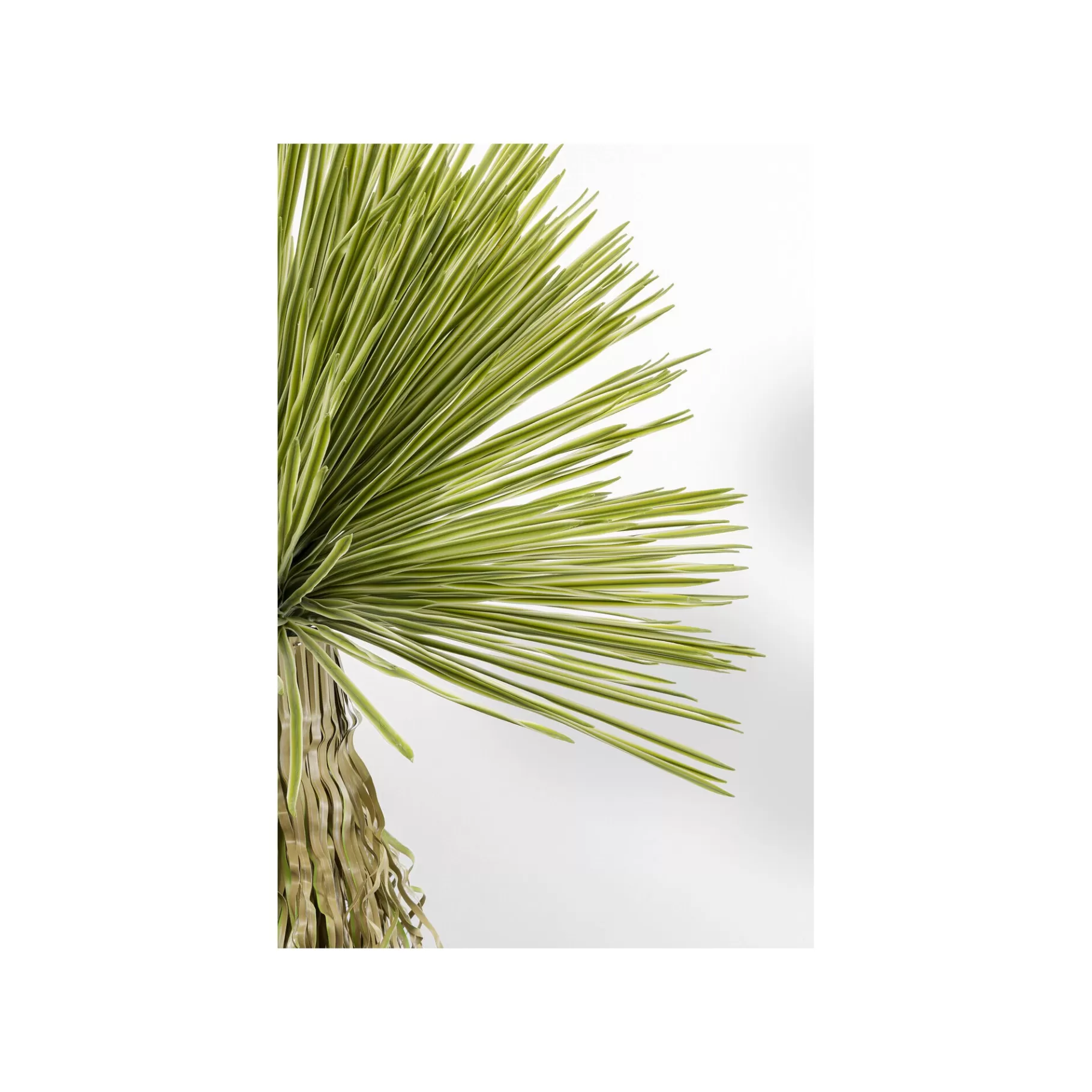 Clearance Plante Décorative Yucca 180cm Plante Décorative