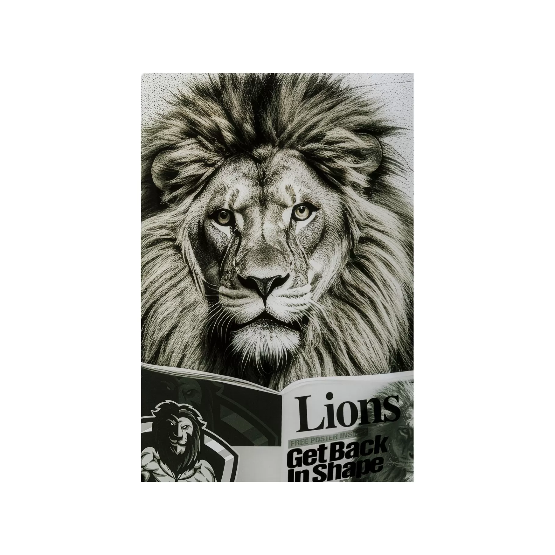 Store Tableau En Verre Lion Journal 60x80cm Tableau